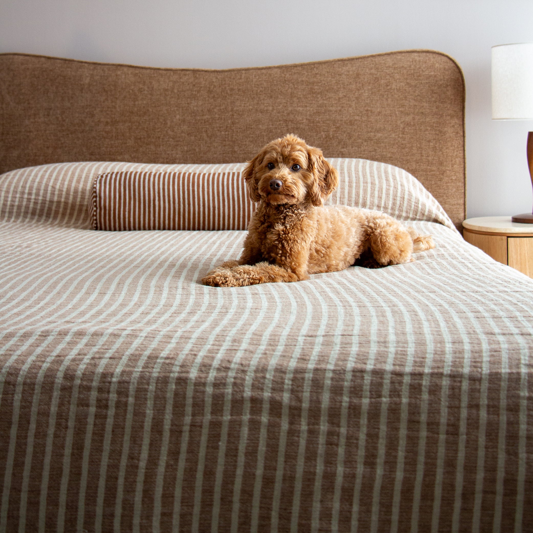 Ava Stripe Toffee Bedcover