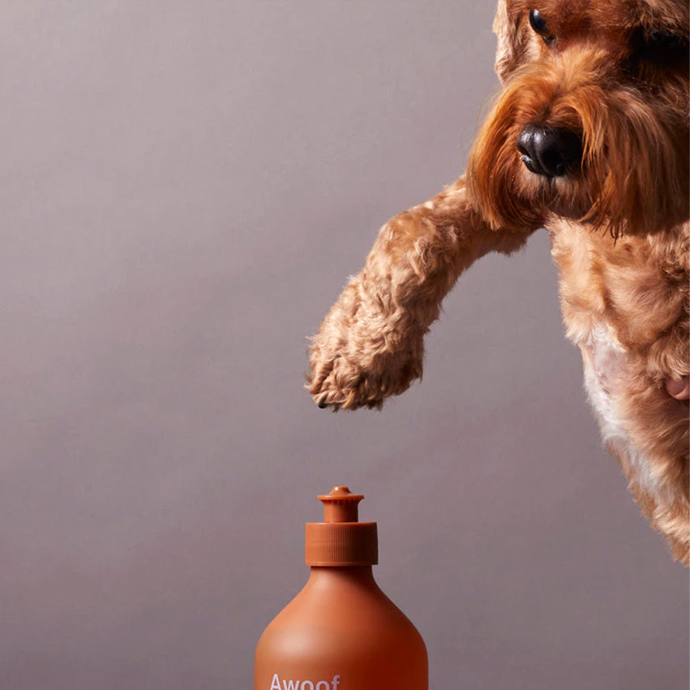 Awoof Dog Wash - Doug, Dug & Dug