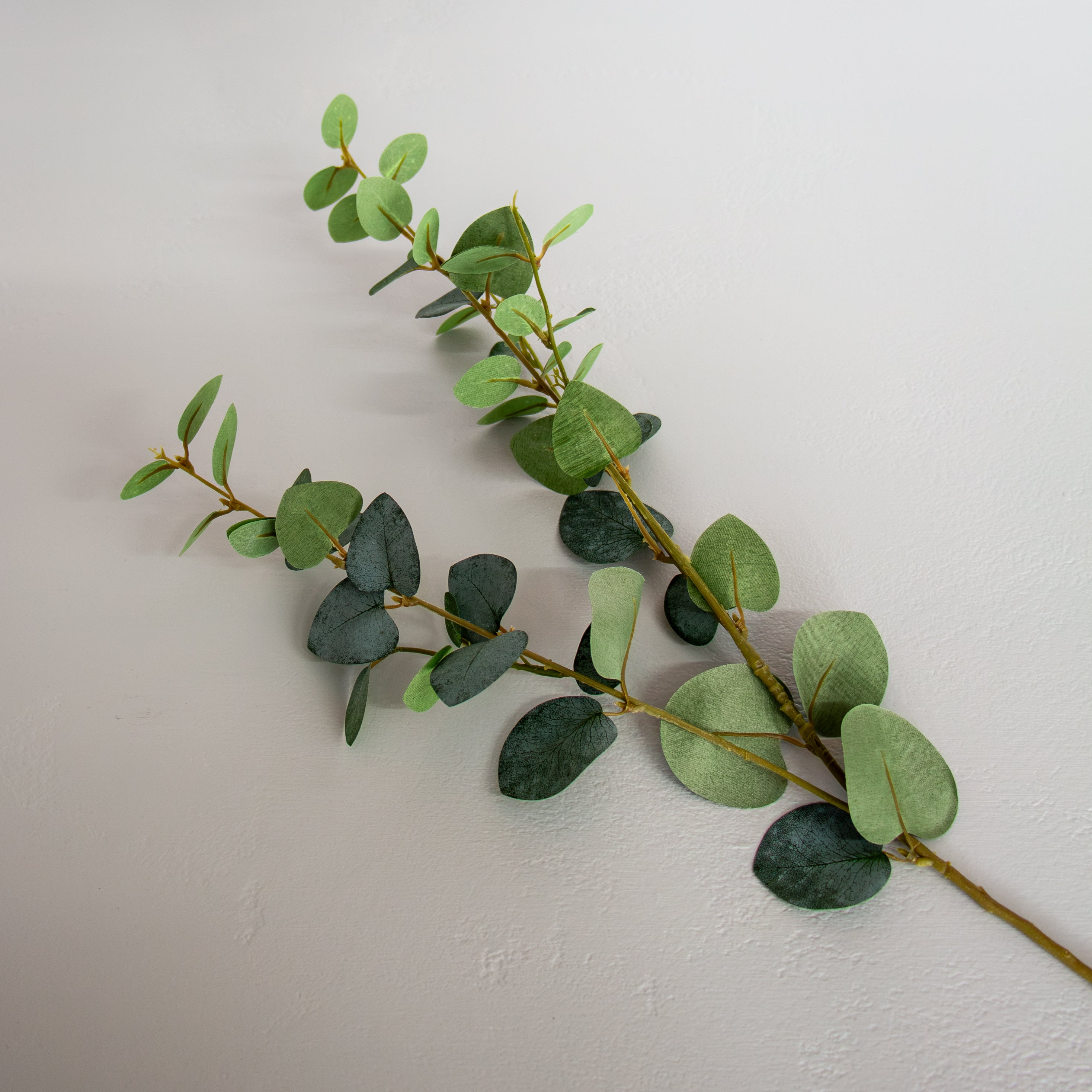 Eucalyptus Spray