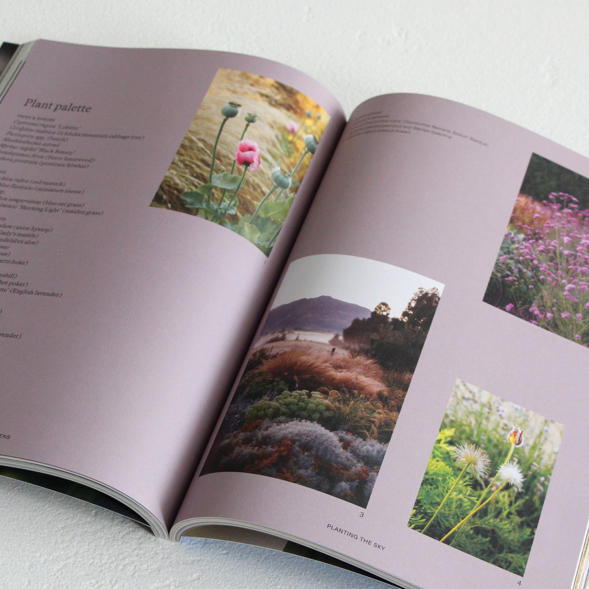 Sage Journal - Volume 2