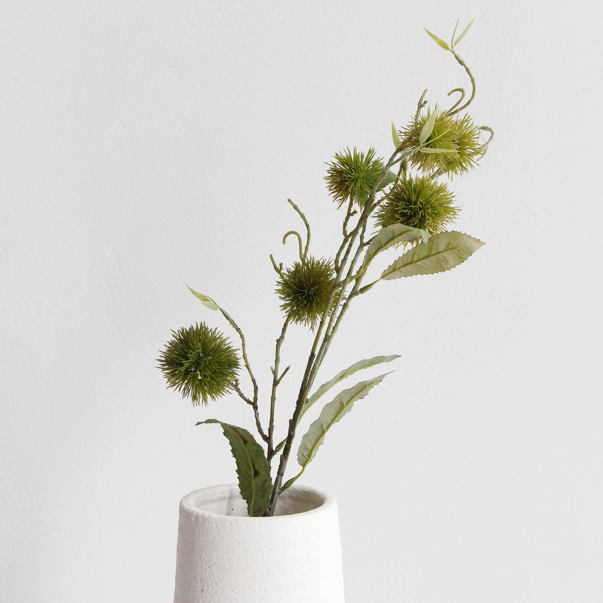 Sweet Chestnut - Green