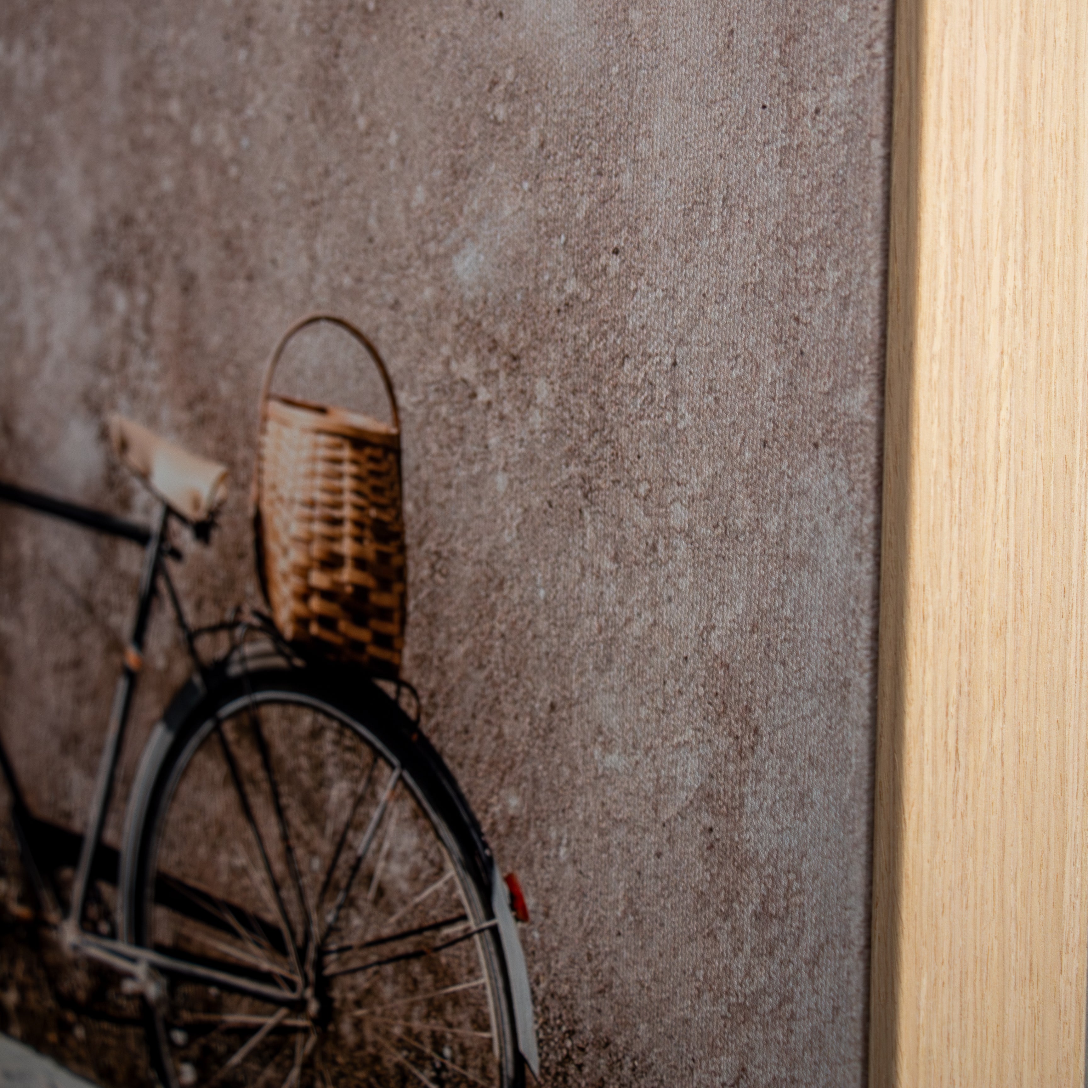 Vintage Bicycle Canvas