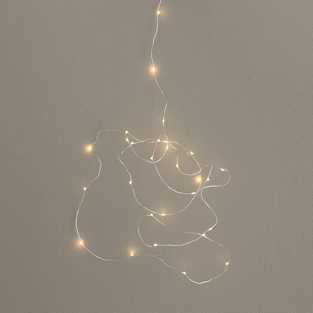 Charge & Go Seed Lights - 3m