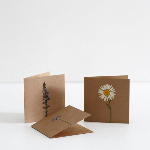 Pressed Flowers Blank Card - Kraft