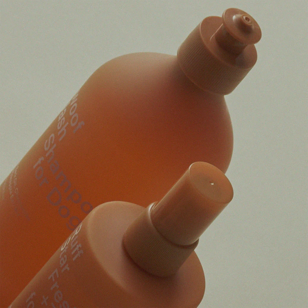 Ashley & Co Dog Box - Pawsome Grooming