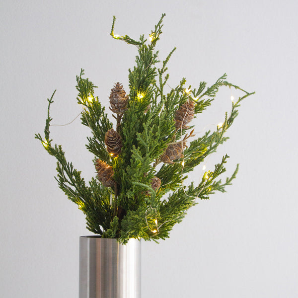 Cedar & Pinecone Branch with Lights