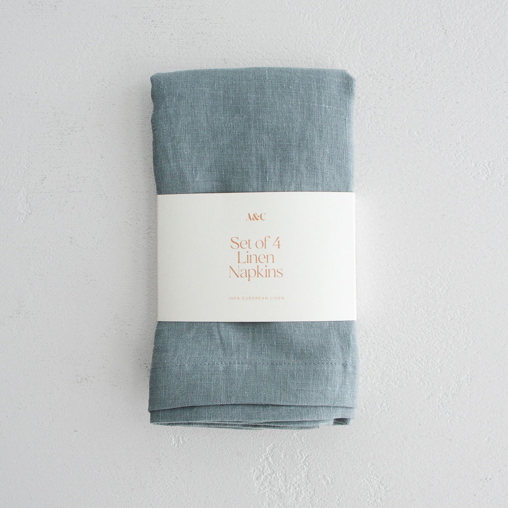 Linen Napkins - Lake (Set of 4)