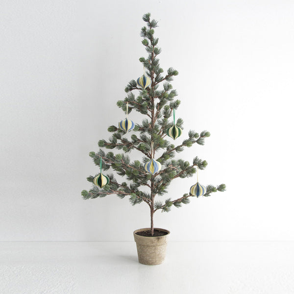 Dusty Pine Tree