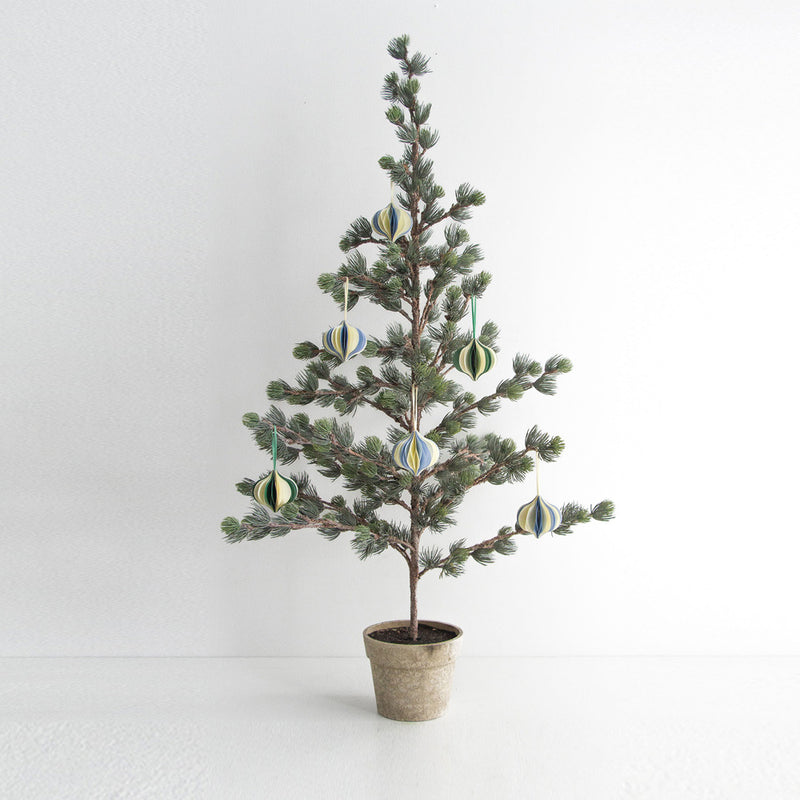 Dusty Pine Tree