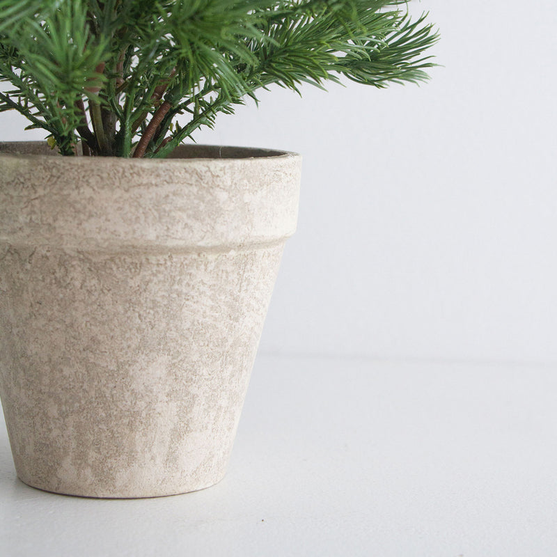 Tabletop Tree