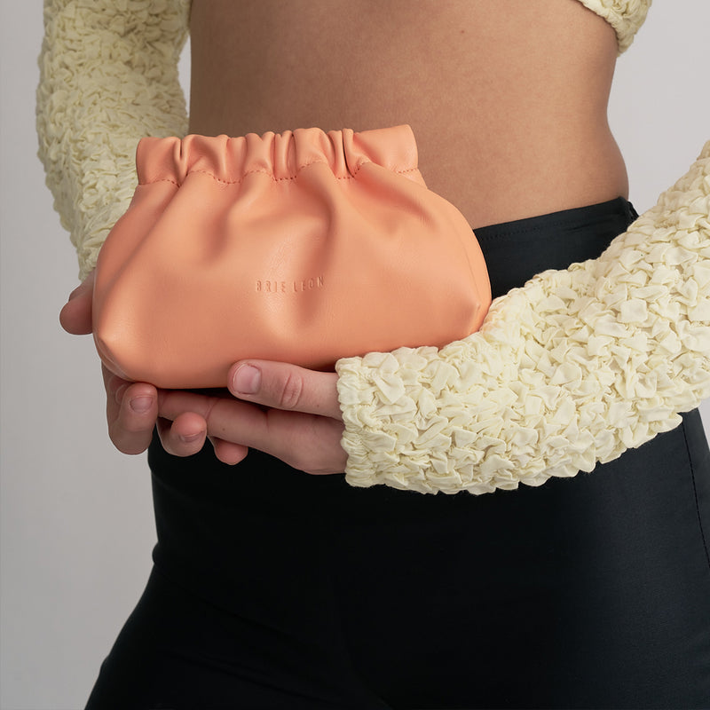 Alma Bag Mini - Paw Paw
