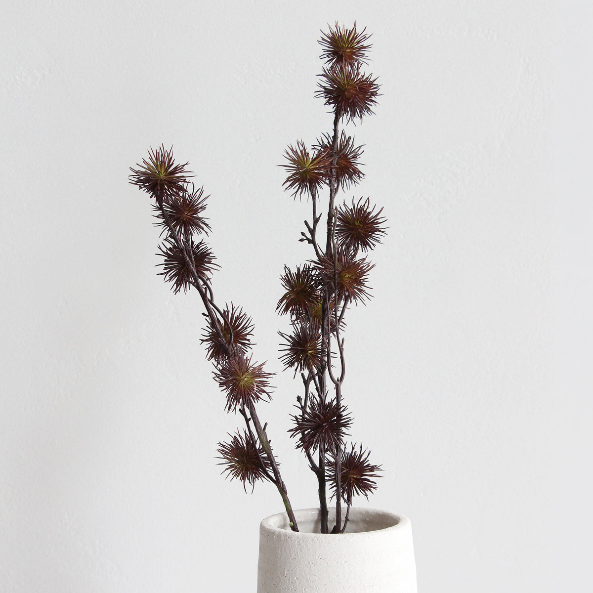 Chestnut Spray - Brown