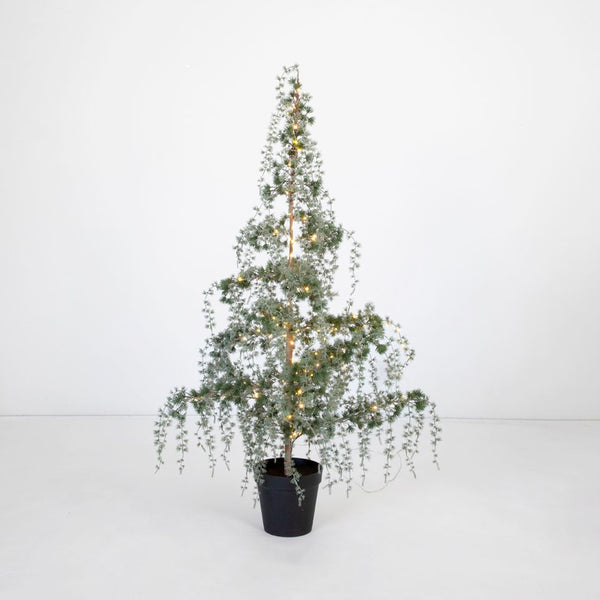 Weeping Cedar LED Tree