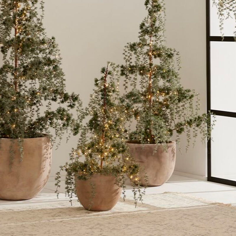 Weeping Cedar LED Tree