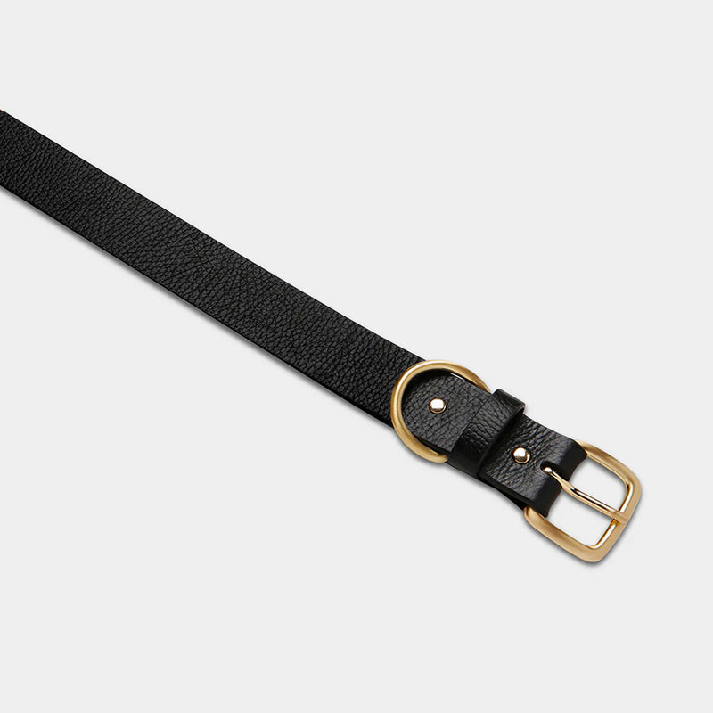 Disarm Belt - Black/Gold