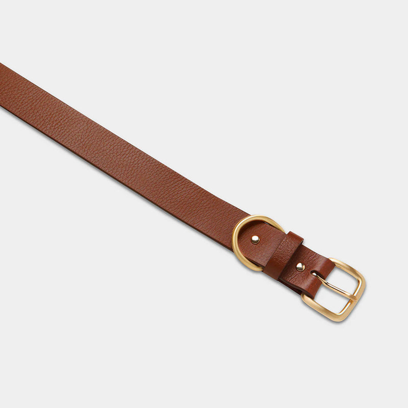 Disarm Belt - Tan/Gold