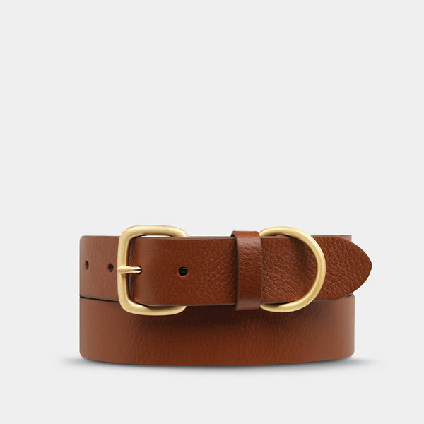 Disarm Belt - Tan/Gold