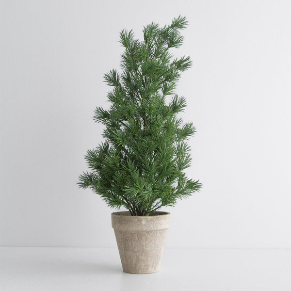 Tabletop Tree