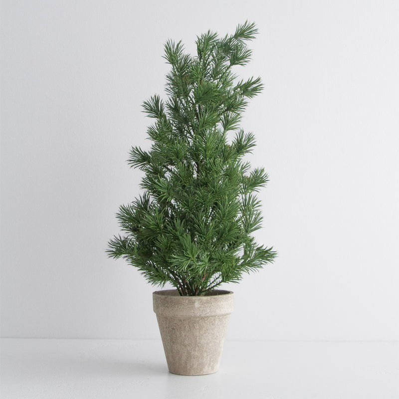 Tabletop Tree
