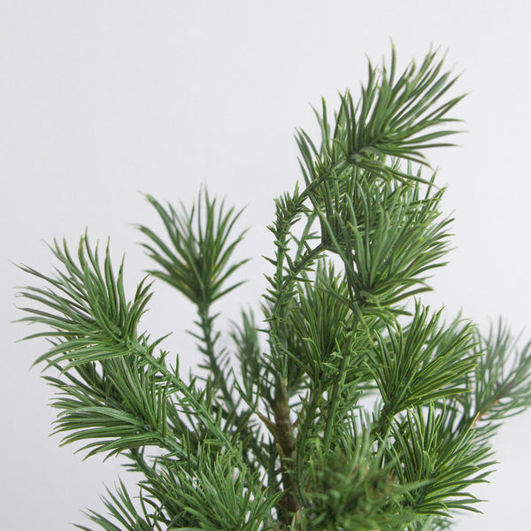 Tabletop Tree