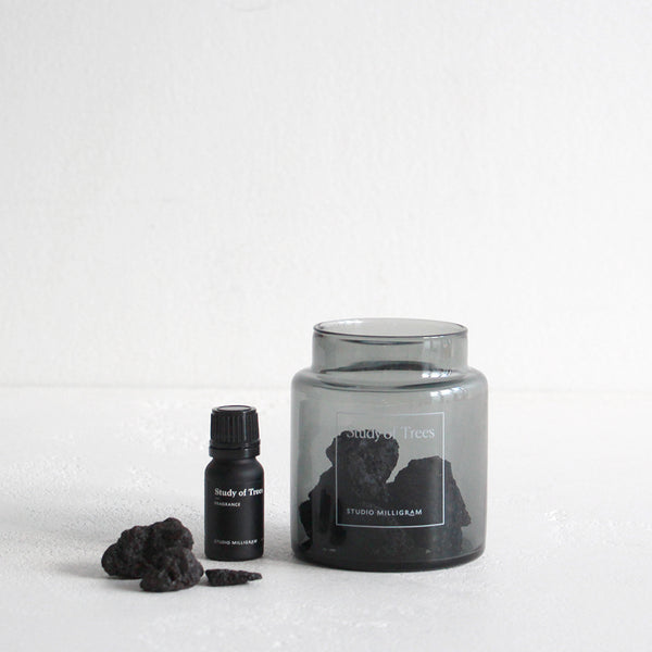 Sensory Scented Volcanic Rock Set - Study of Trees