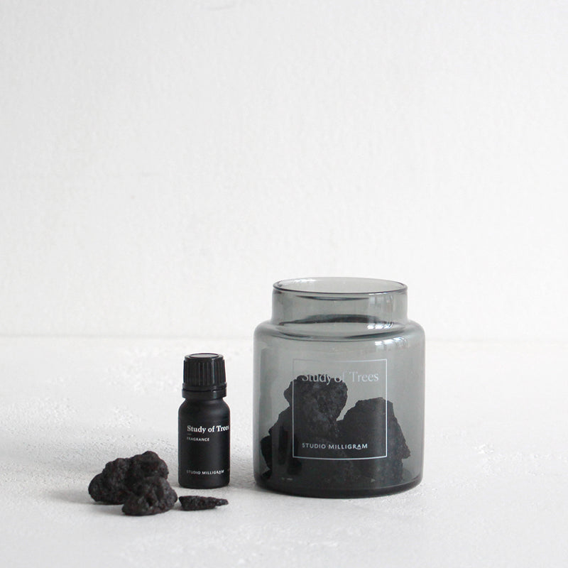 Sensory Scented Volcanic Rock Set - Study of Trees
