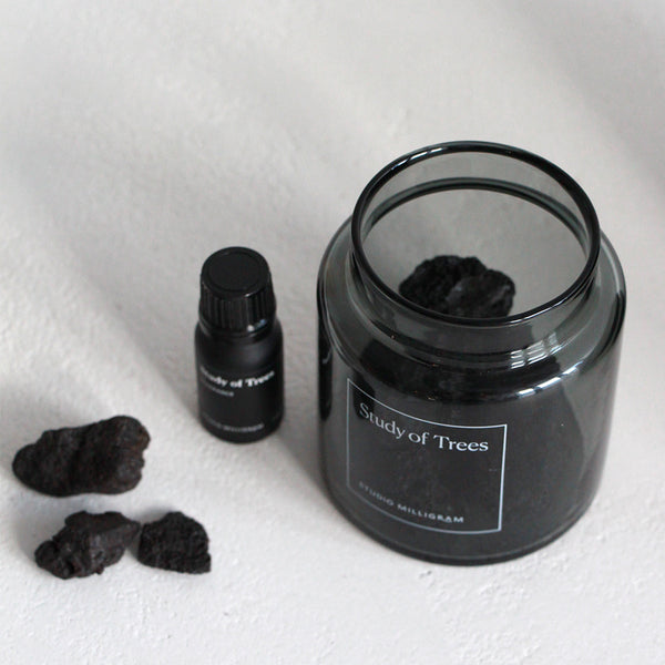 Sensory Scented Volcanic Rock Set - Study of Trees