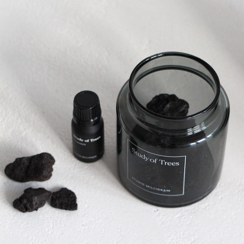 Sensory Scented Volcanic Rock Set - Study of Trees