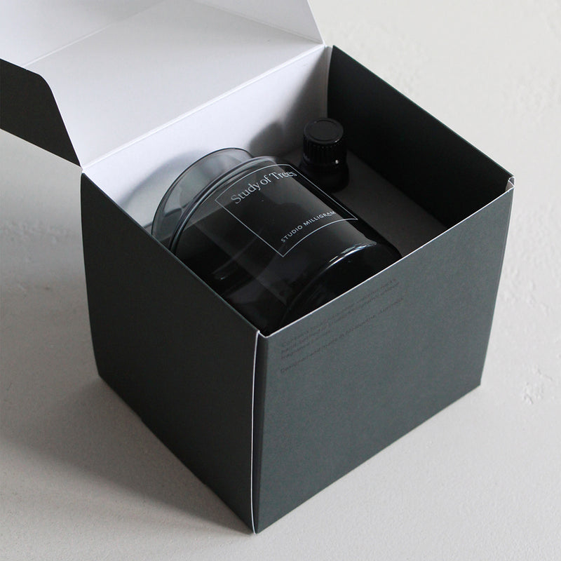Sensory Scented Volcanic Rock Set - Study of Trees