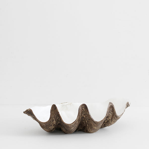 Clam Shell (resin) - Large