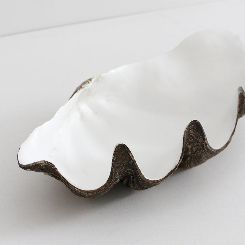 Clam Shell (resin) - Large