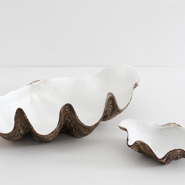 Clam Shell (resin) - Large
