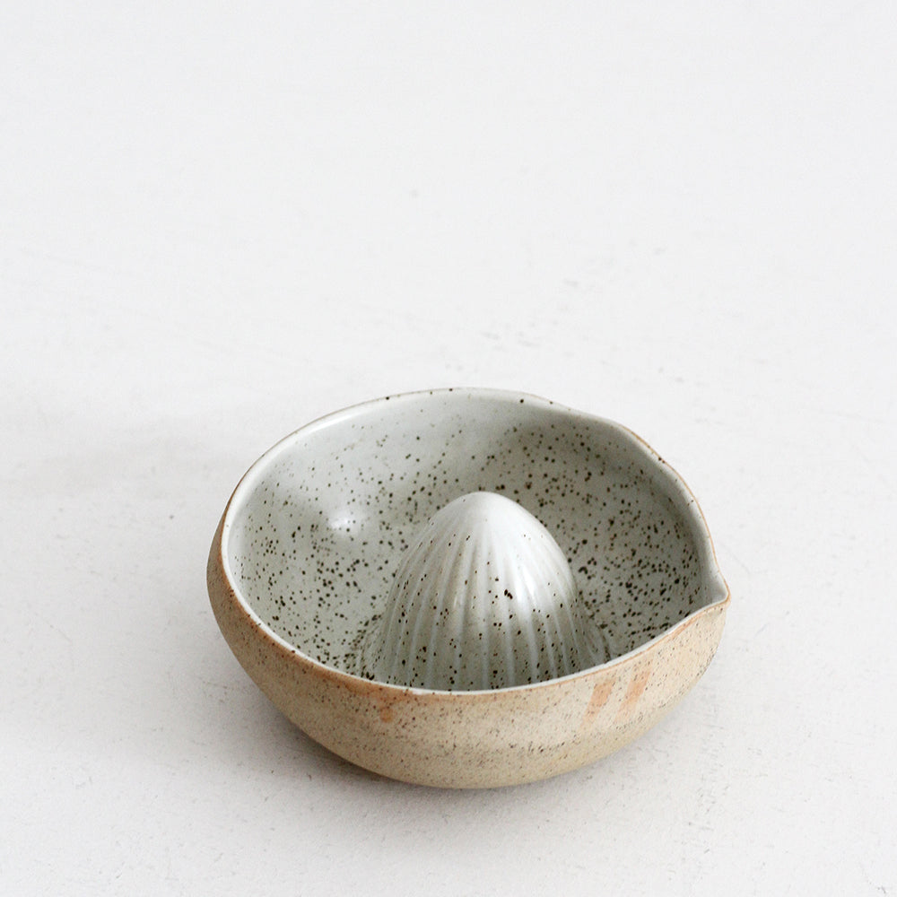 Garden to Table Juicer