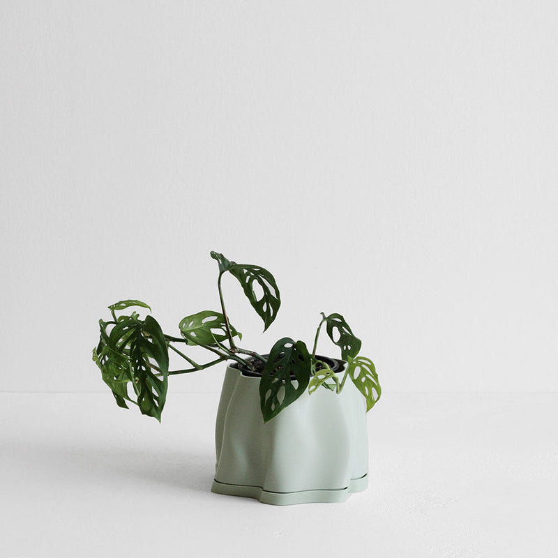 Lulu Planter - Sage