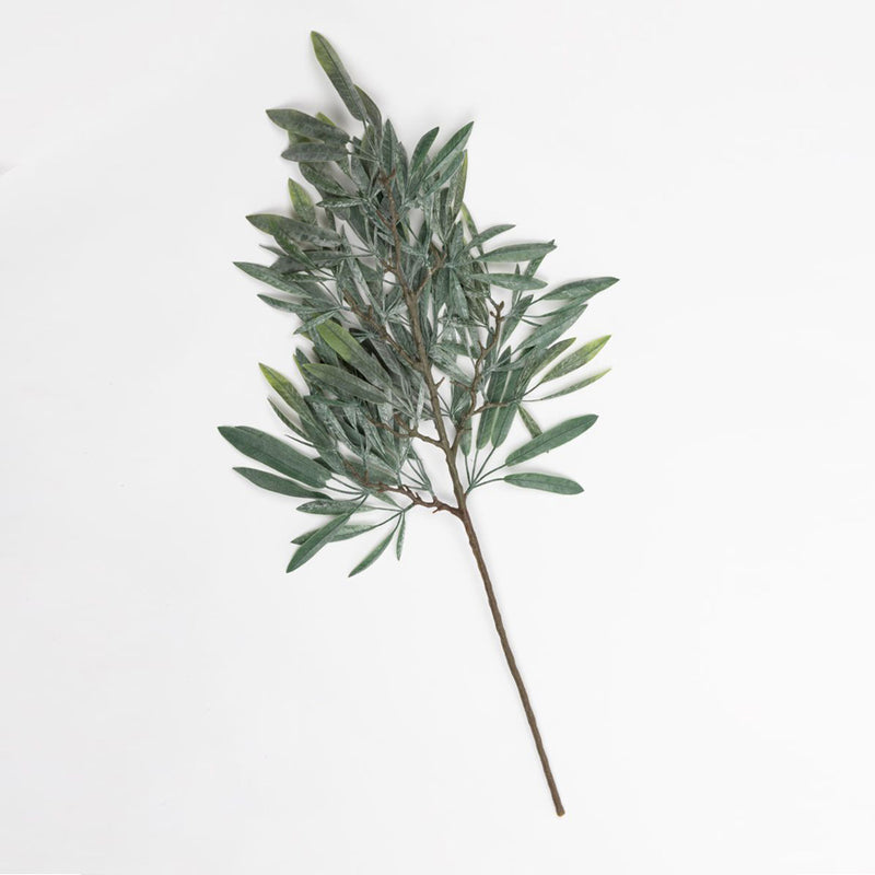 Olive Branch - Large