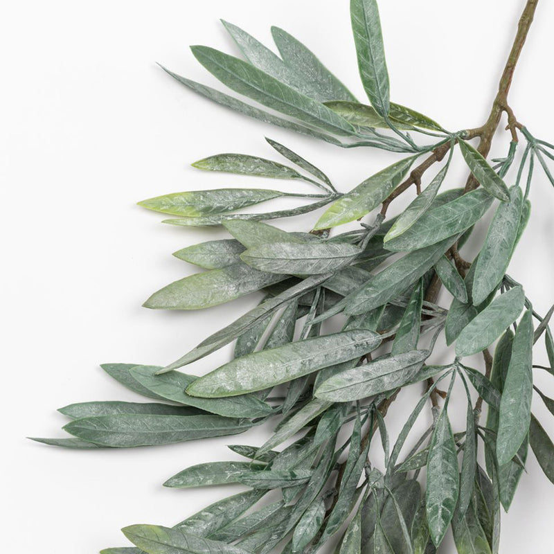 Olive Branch - Large