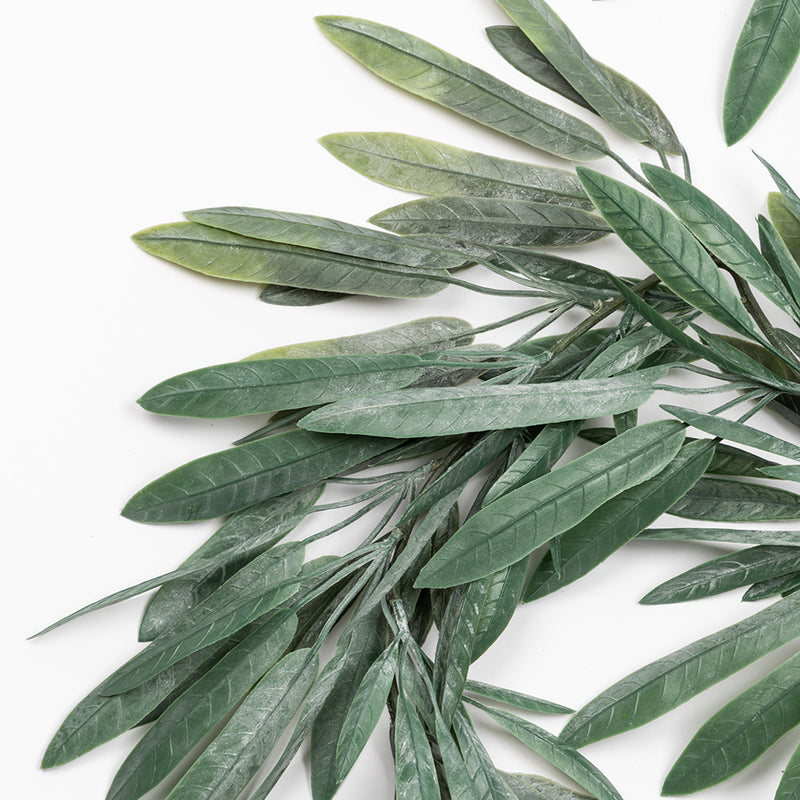 Olive Garland