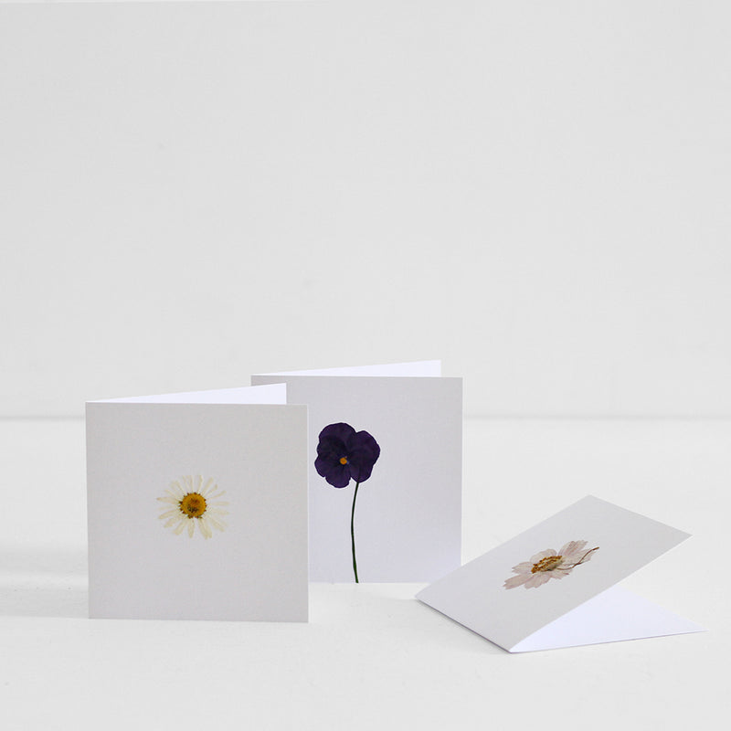 Pressed Flowers Blank Card - White