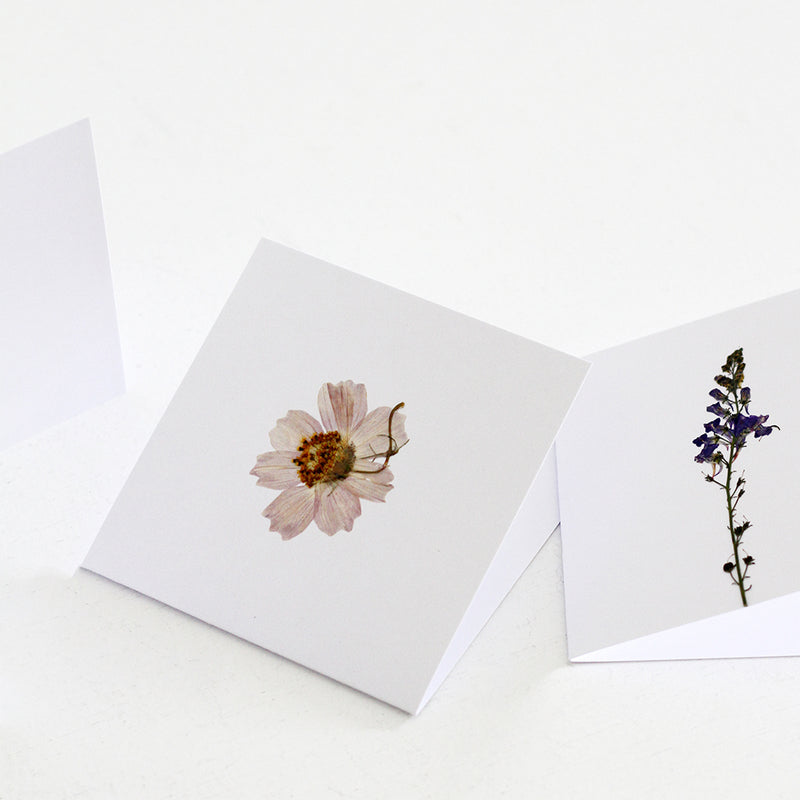 Pressed Flowers Blank Card - White