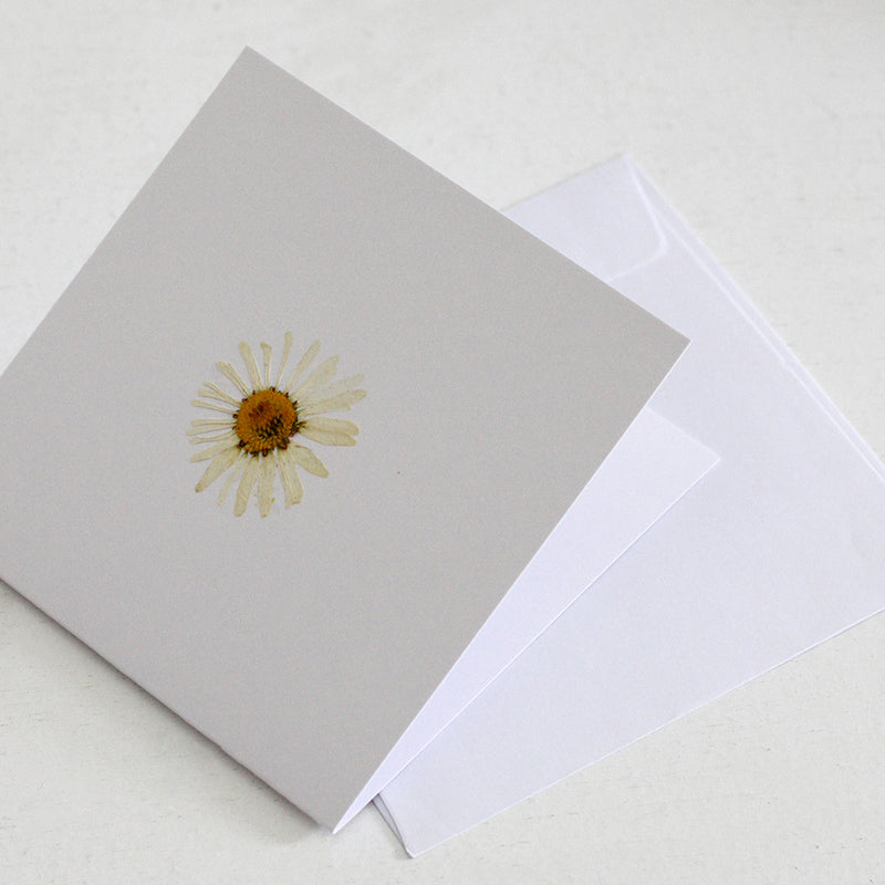 Pressed Flowers Blank Card - White